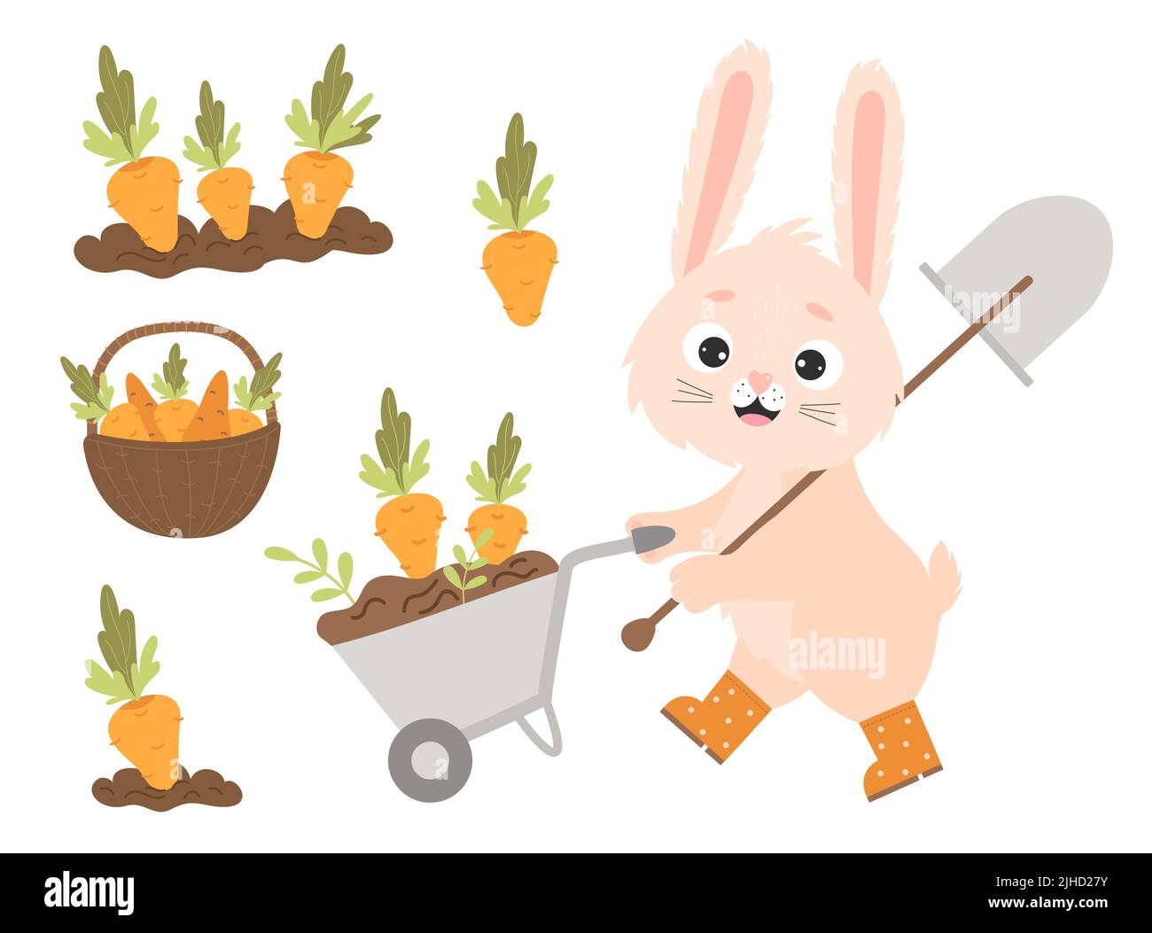 Cute cartoon bunny in rubber boots with garden wheelbarrow and shovel, harvesting. Carrots in garden bed and in wicker basket. Vector illustration Stock Vector
