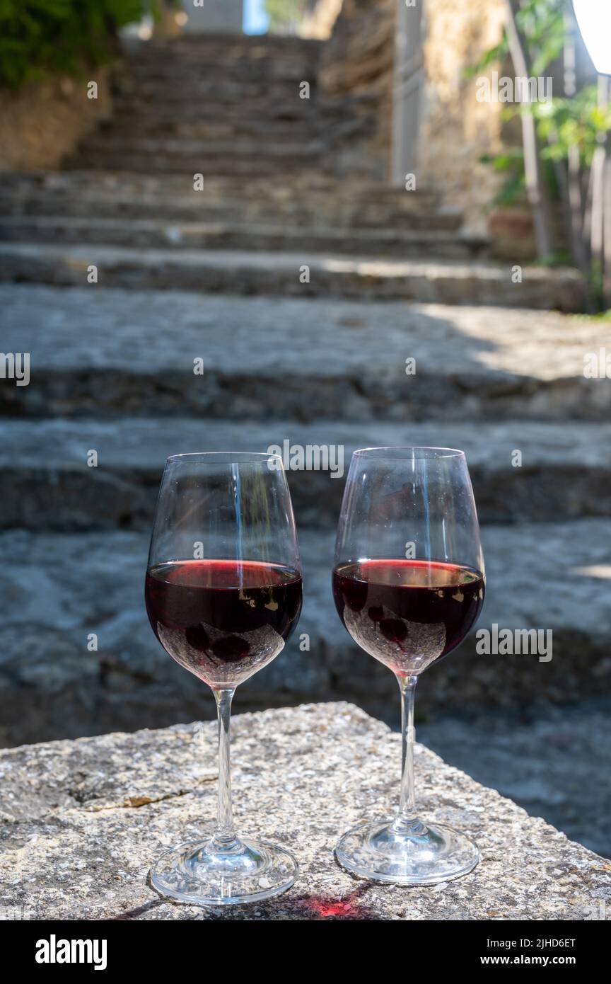 Wine tour with tasting of red dry wine and ruins of medieval castle of ChâteauneufduPape