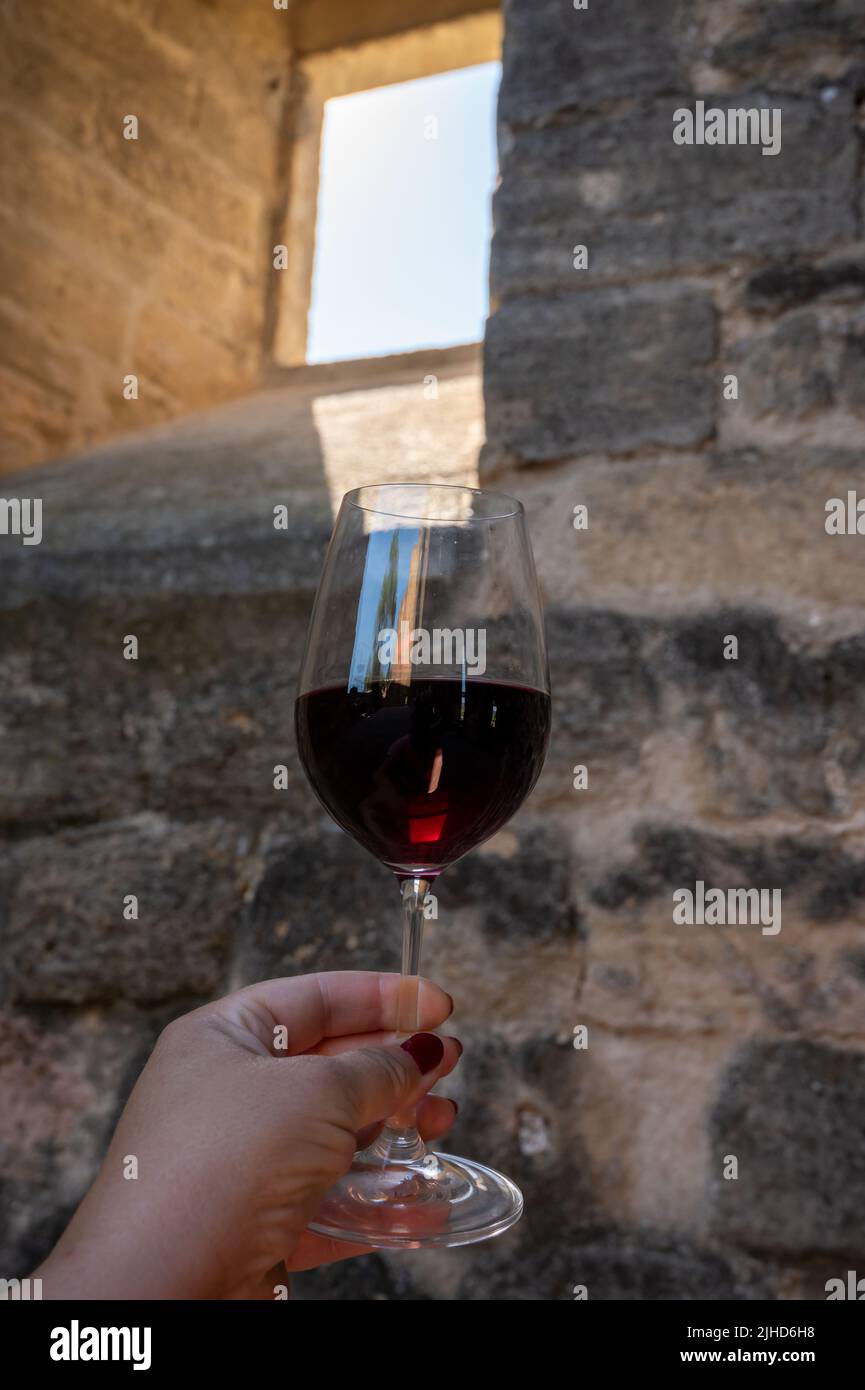 Wine tour with tasting of red dry wine and ruins of medieval castle of ChâteauneufduPape