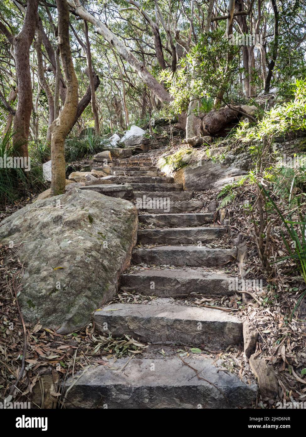 Sandstone steps have replaced a lot of the eroded steeper sections of the Royal National Park Coast Track near Otford. Stock Photo