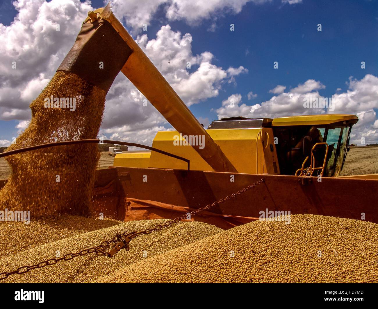 combine harvester loading soybeans in to the truck in Brazil Stock Photo