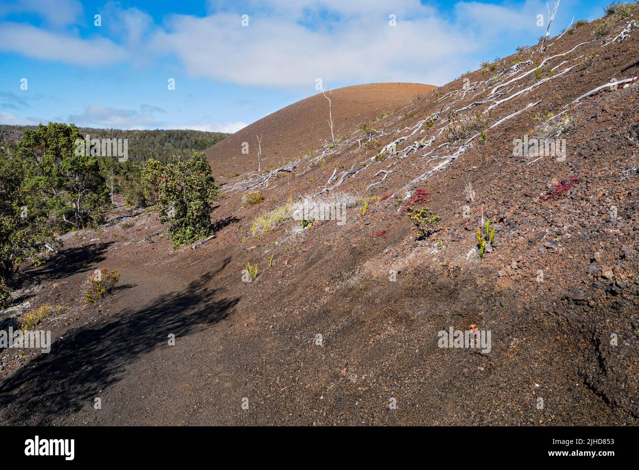 pu'u pua'i cinder cone along byron ledge trail at hawaii volcanoes national park Stock Photo