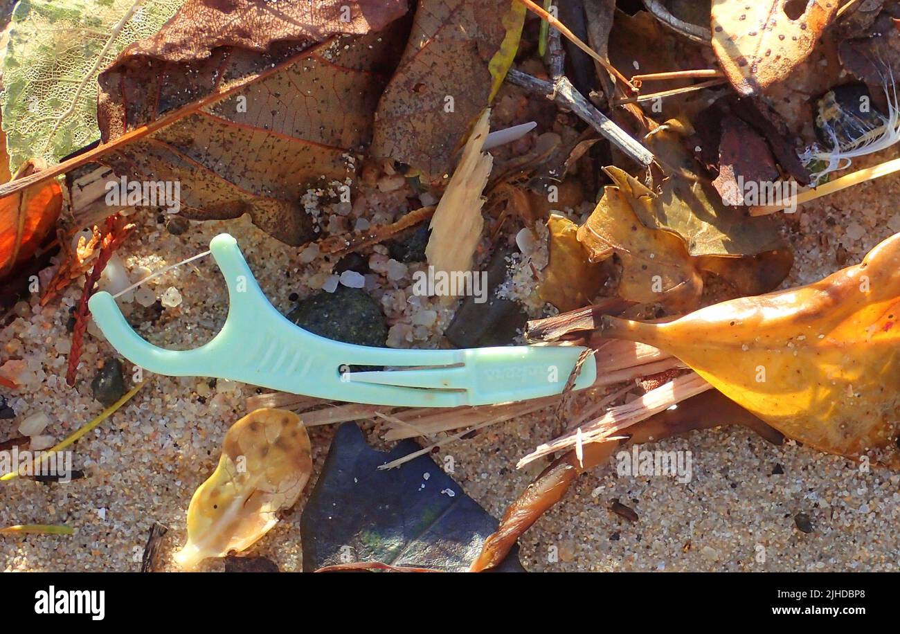 Dental tooth flosser. Plastic rubbish with leaves on a NZ beach Stock Photo