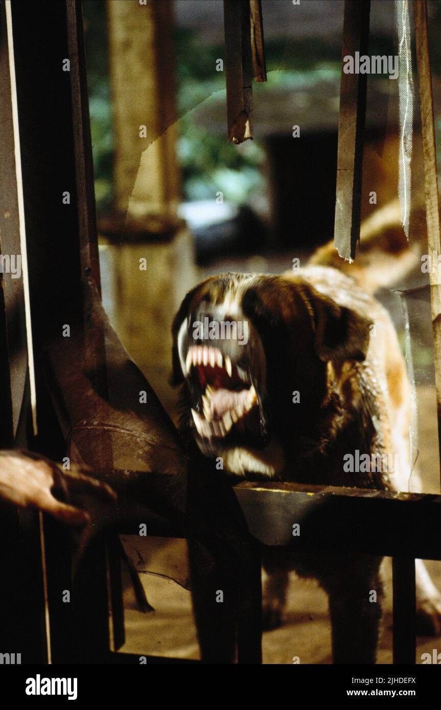 Horror film dog hires stock photography and images Alamy