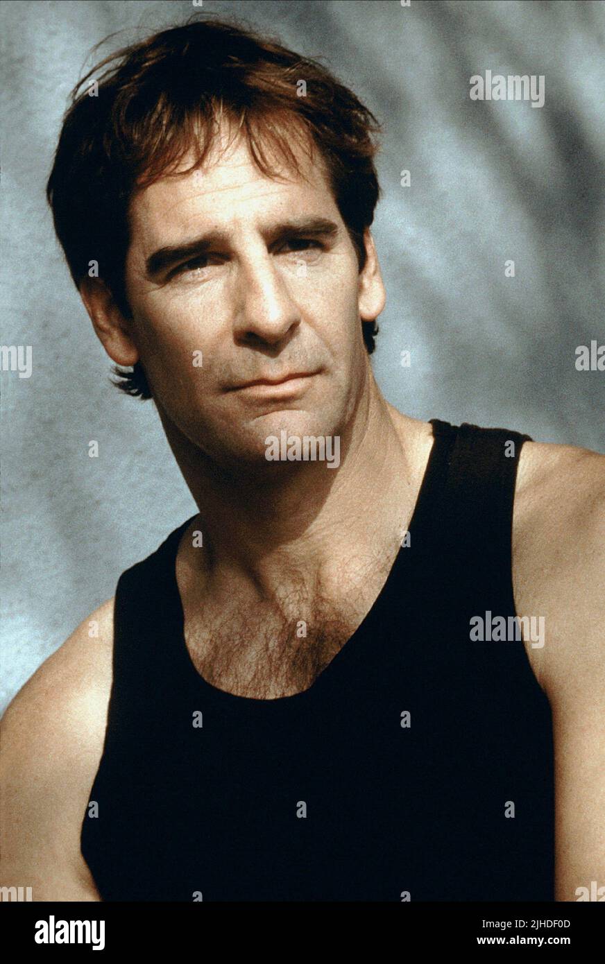 Scott bakula american beauty 1999 hi res stock photography and images