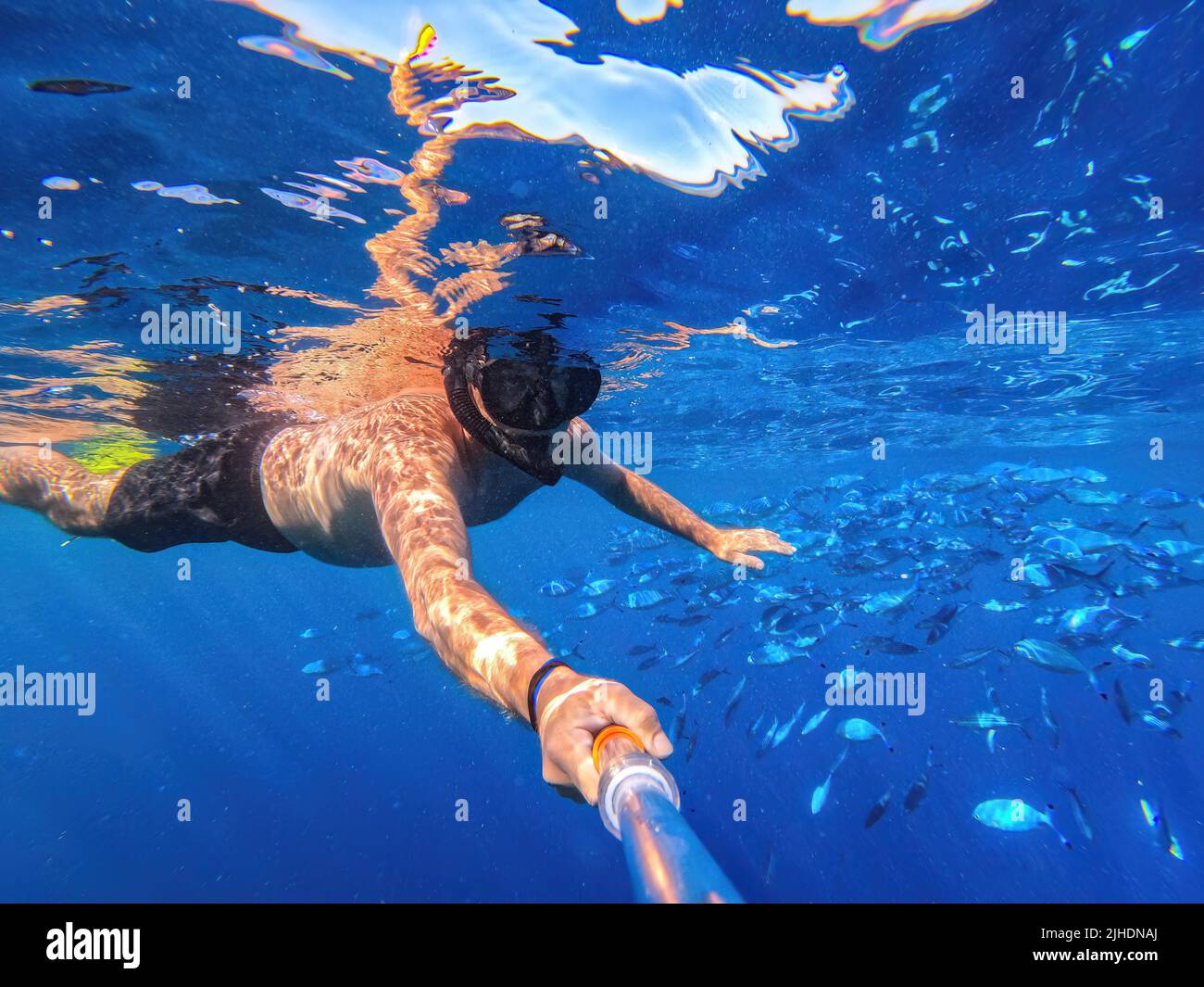 Snorkeling in underwater exotic tropics paradise with school of Caesio Striata coral fish, beautiful view of tropical sea. Summer holiday in exotic co Stock Photo