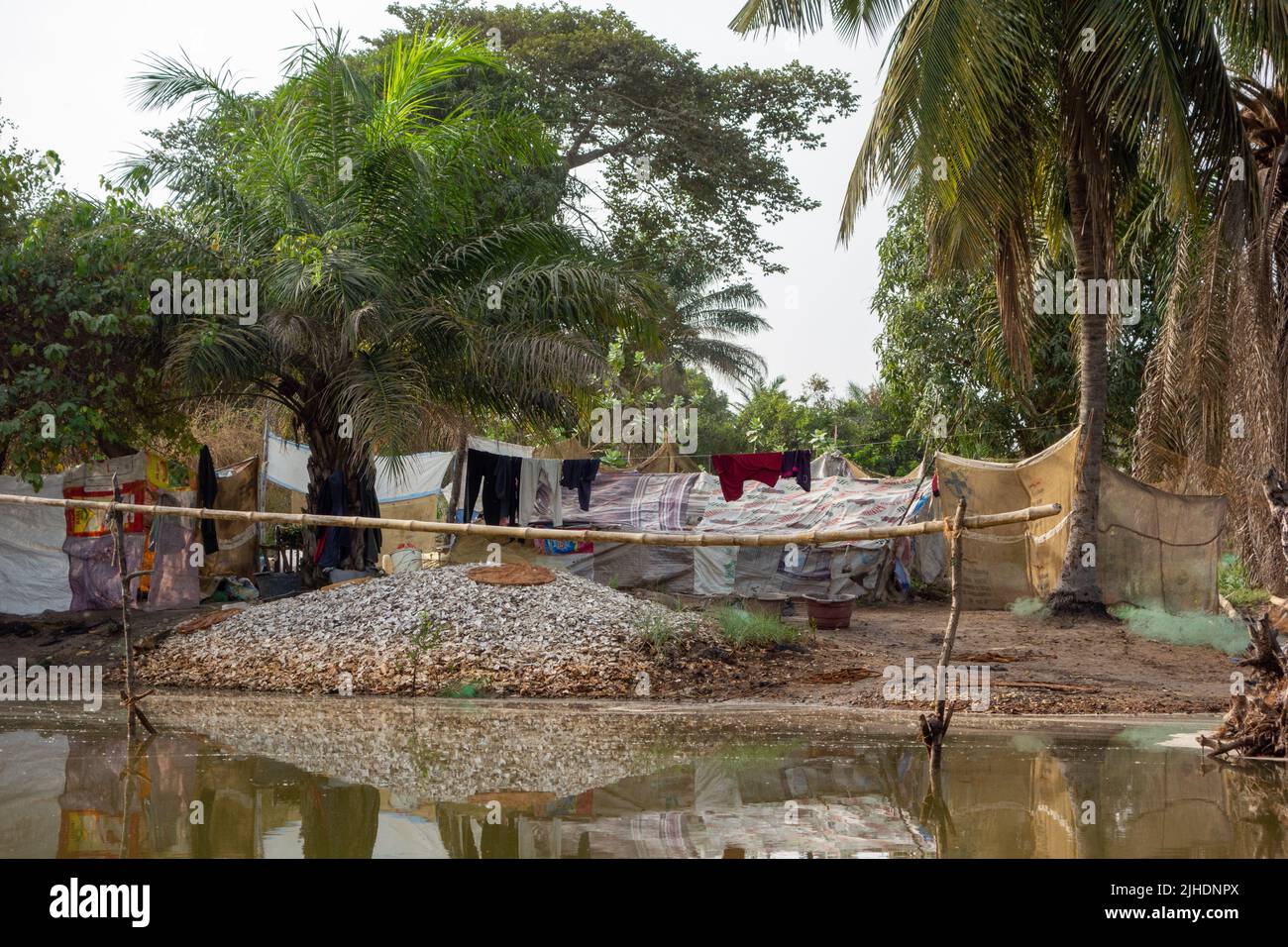 Gambia tanji river bird reserve hi-res stock photography and images - Alamy