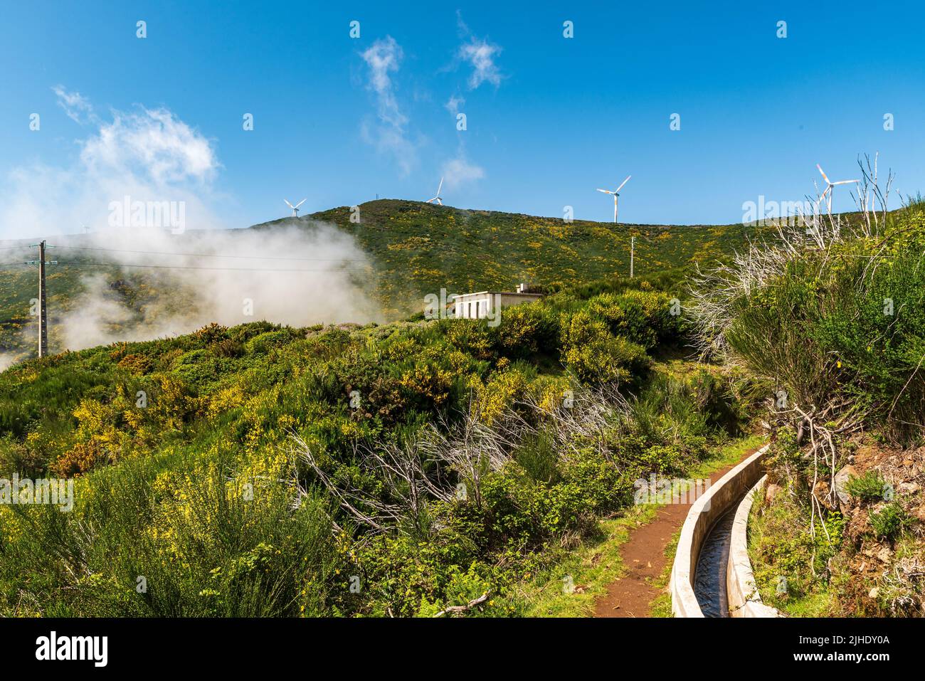 Levada do Paul with wind turbines on Paul da Serra mountain plateau on the background in Madeira during springtime day with clouds upearding from vall Stock Photo