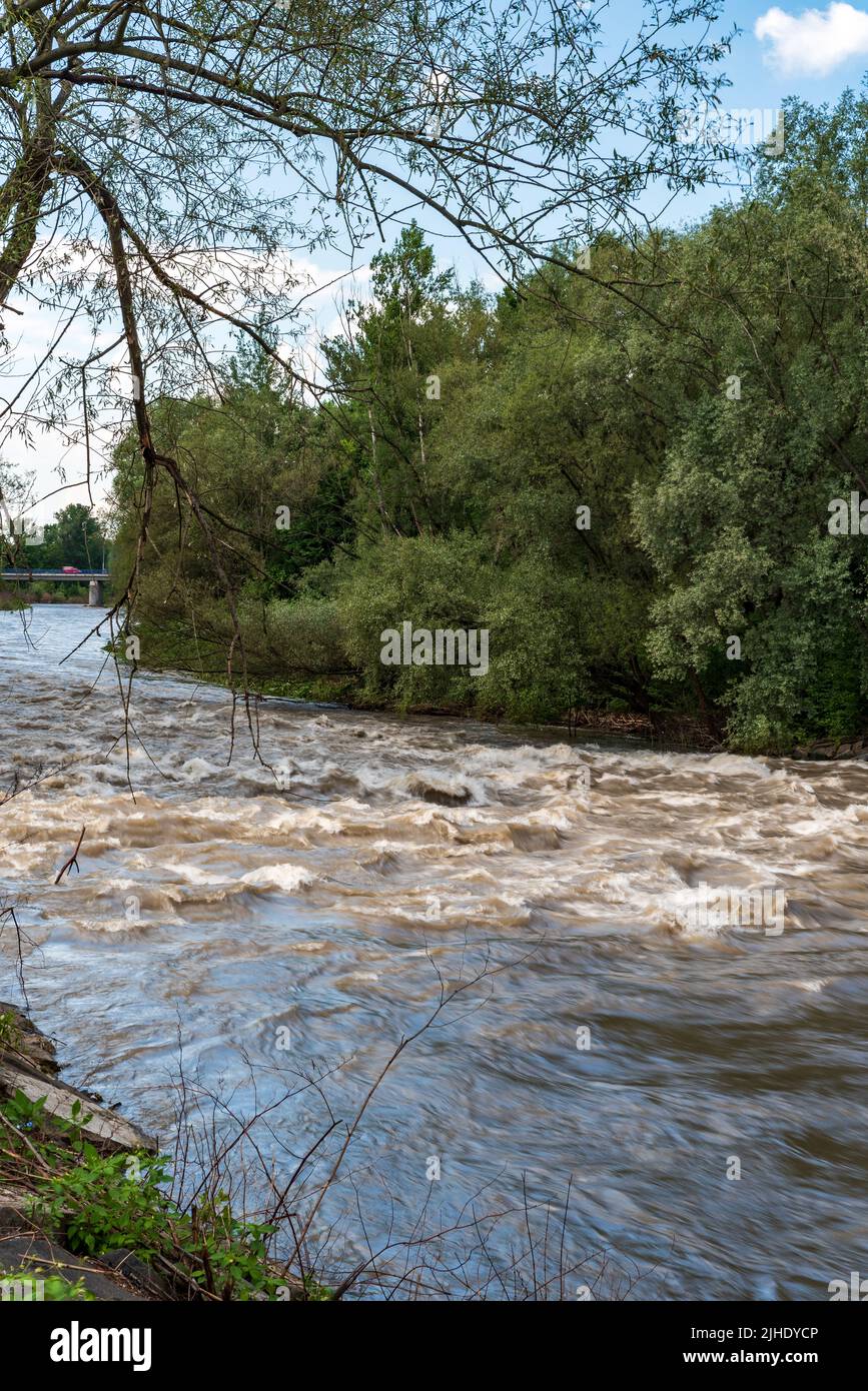 River after fed days of heavy rains with trees on the background - Ostravice river in Czech republic Stock Photo