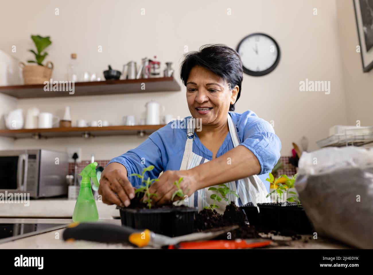 Low angle view of smiling biracial mature woman planting saplings in seedling tray at home Stock Photo