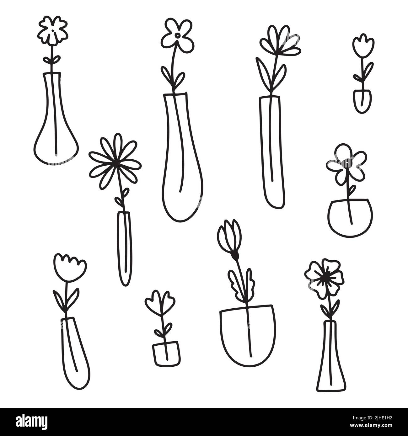 Set of simple doodle Vector plants and flowers in pots and vases ...