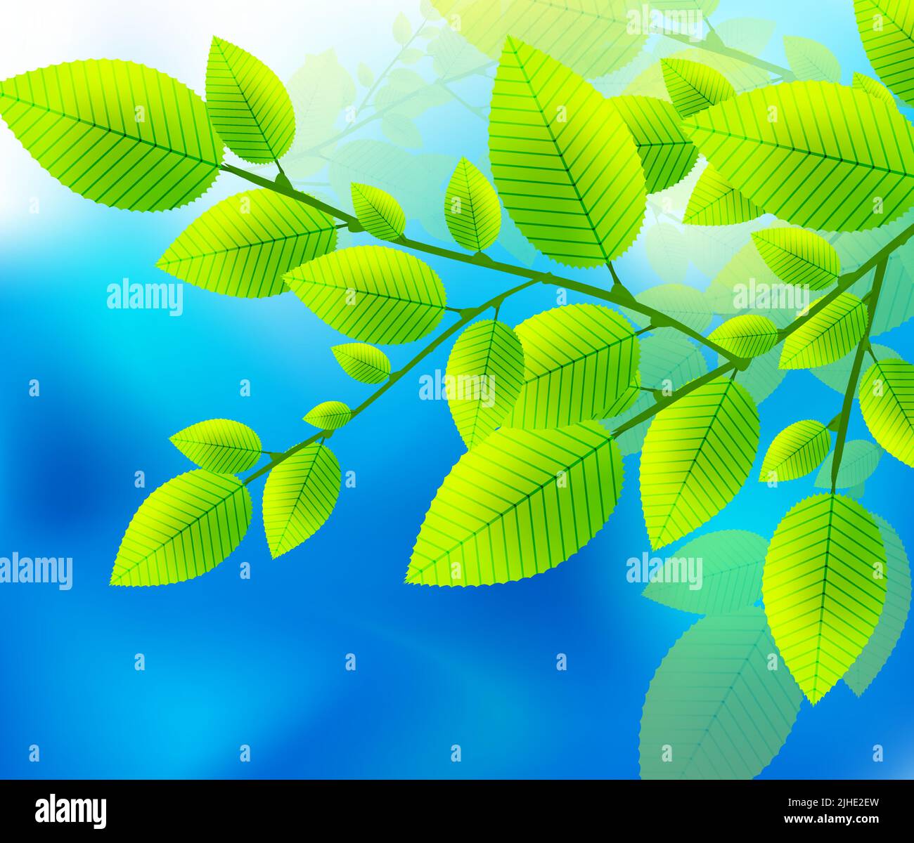 Nature background with green leaves Stock Vector Image & Art - Alamy