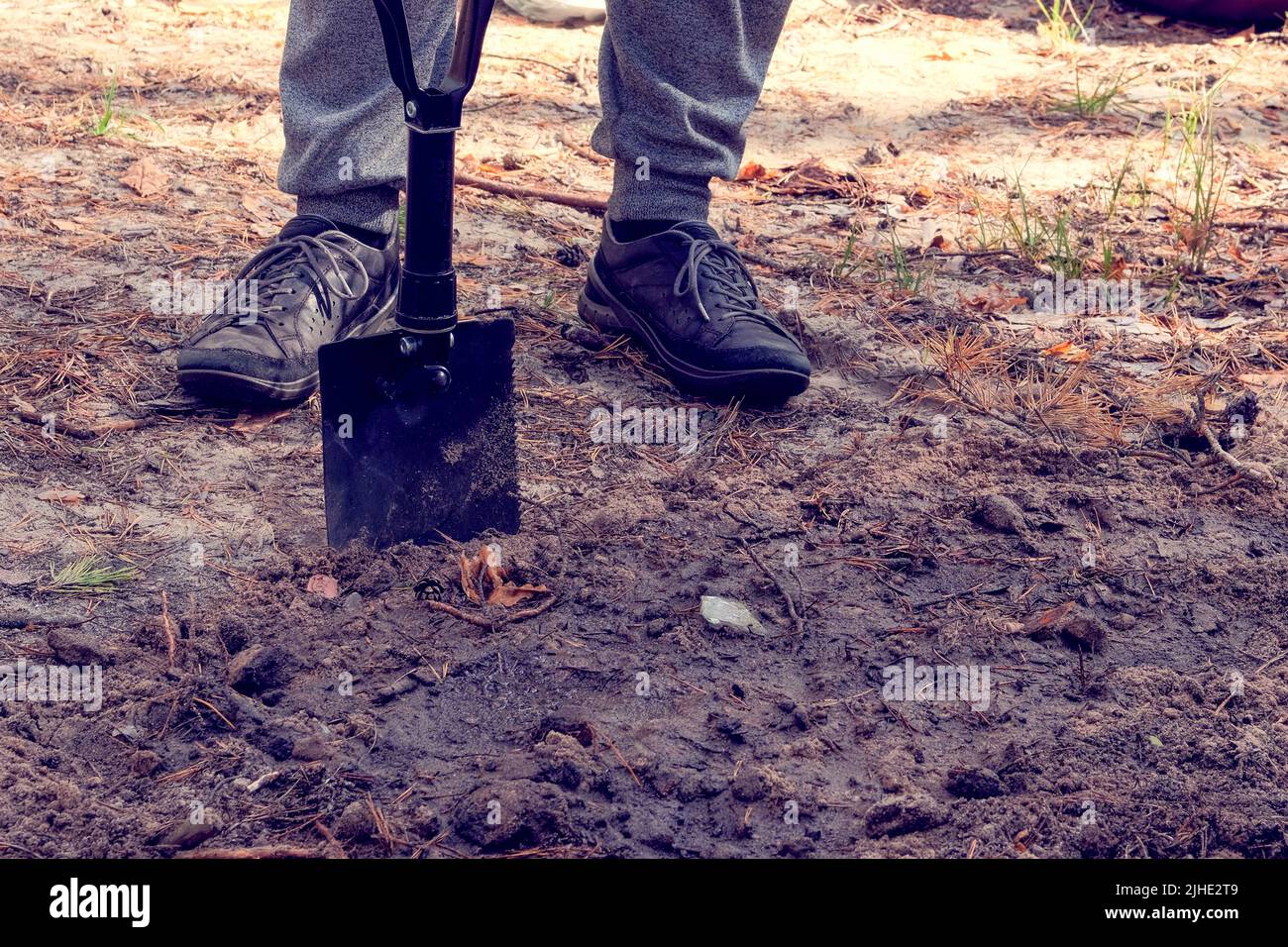 Black shovel in human hands. Man digs soil with a shovel in the forest. Stock Photo