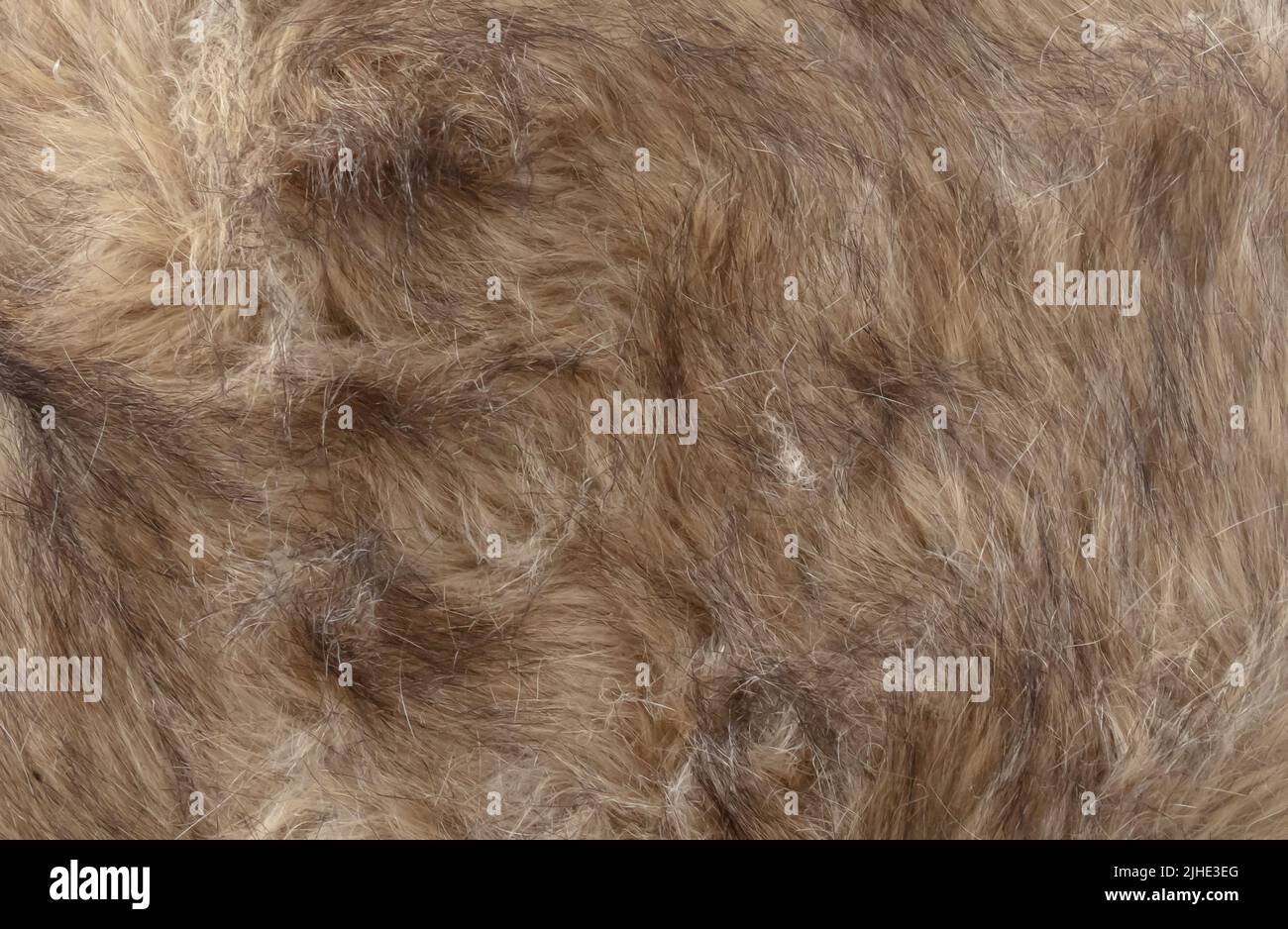 Brown animal fur texture, animal skin background, isolated Stock Photo Alamy