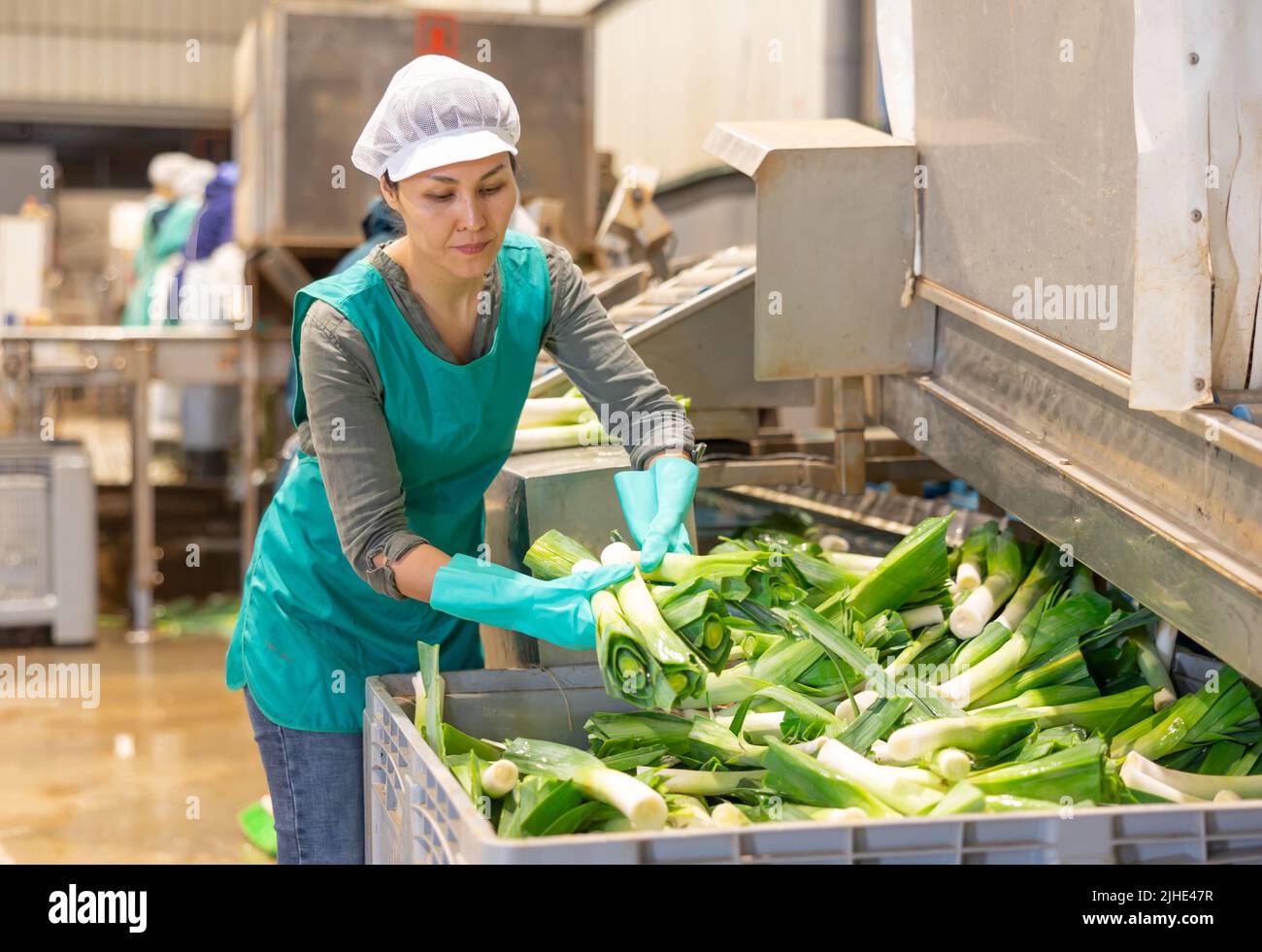 Female factory worker sorting leek Stock Photo - Alamy