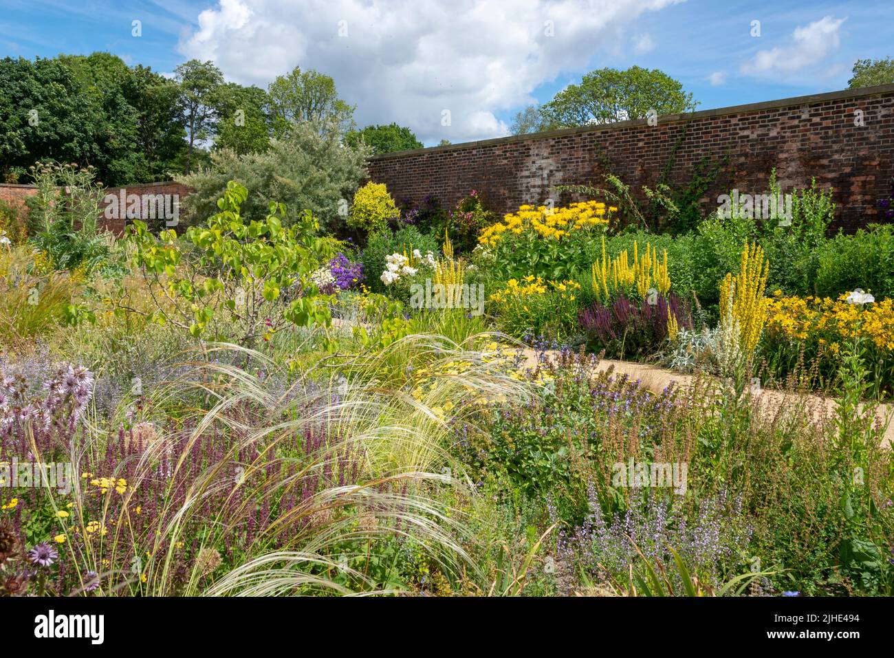 RHS Bridgewater garden, near Manchester, England in mid summer. The paradise garden with planting of colourful perennials, shrubs and ornamental grass. Stock Photo