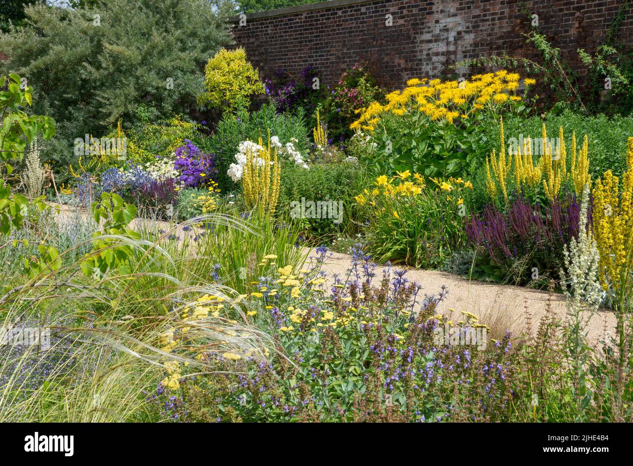 RHS Bridgewater garden, near Manchester, England in mid summer. The paradise garden with mixed perennials and shrubs. Stock Photo