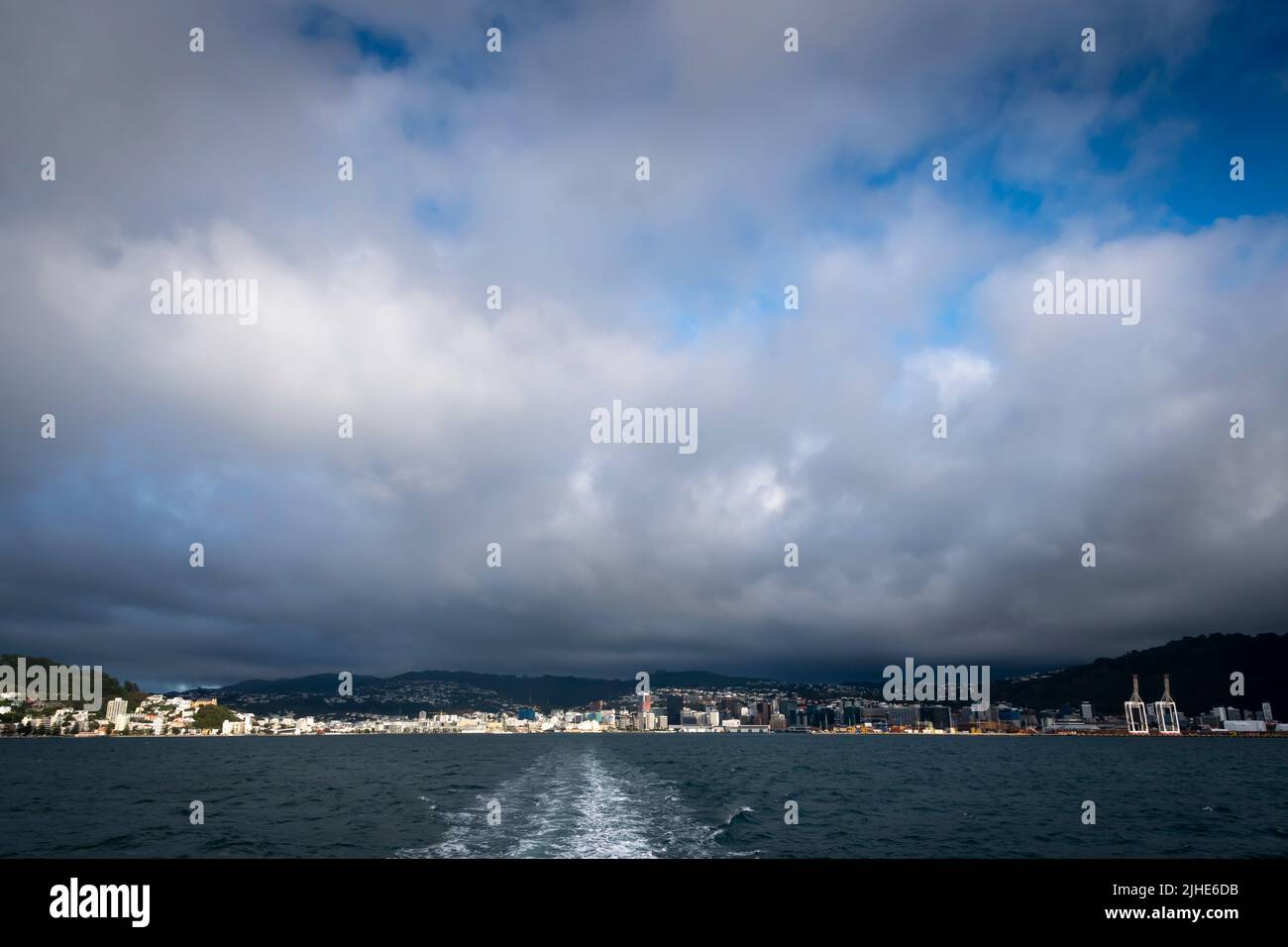 City buildings on waterfront, Wellington, North Island, New Zealand Stock Photo