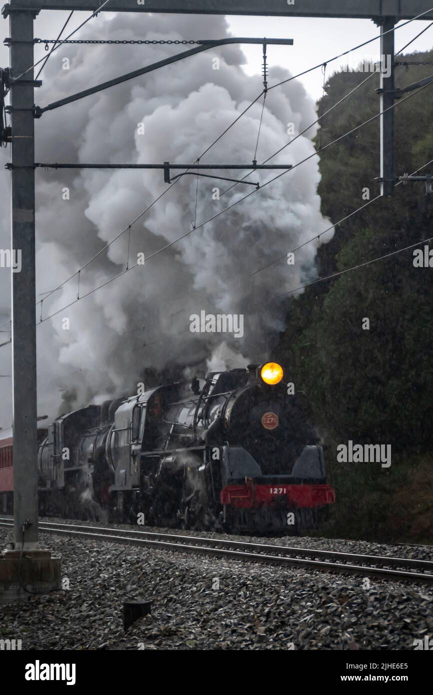 Preserved steam train, J class, 1271, Pukerua Bay, Wellington, North Island, New Zealand Stock Photo