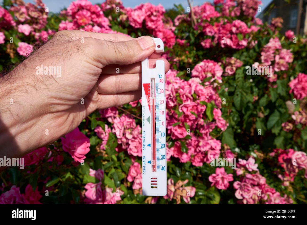 Chippenham, Wiltshire, UK, 18th July, 2022. As the Met Office issues a red extreme heat warning on Monday and Tuesday for much of England, a man is pictured at 9AM holding a thermometer in a garden as temperatures start to rise.  Forecasters are predicting highs of 40C. Credit: Lynchpics/Alamy Live News Stock Photo