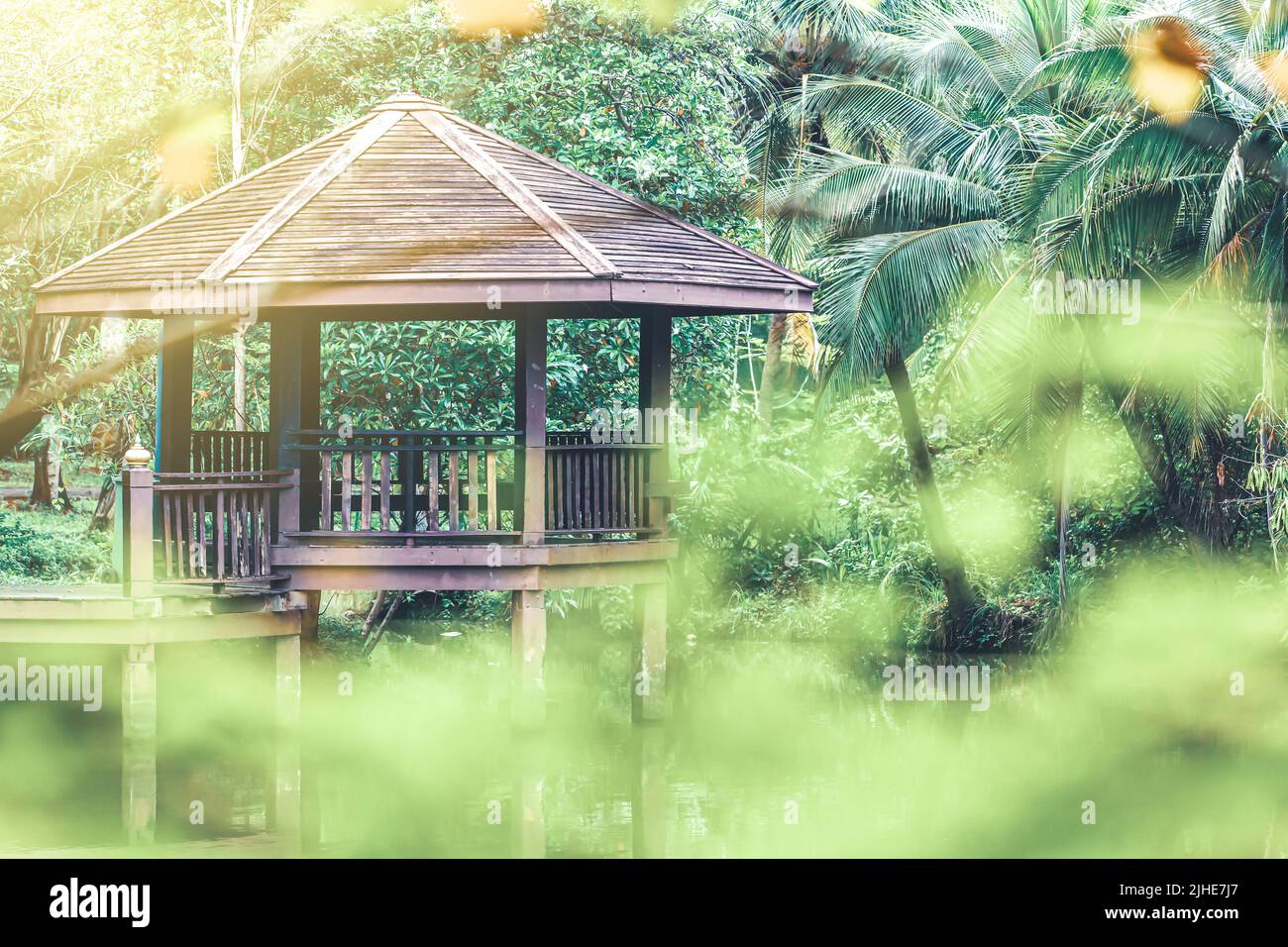 An empty brown wooden pavilion in a pond is surrounded by a green tropical garden with coconut palm trees. Stock Photo