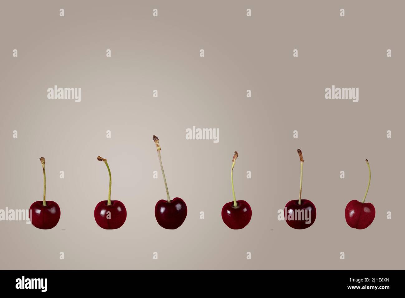 row line of ripe summer cherries cherry fruit on a colourful colorful grey background Stock Photo