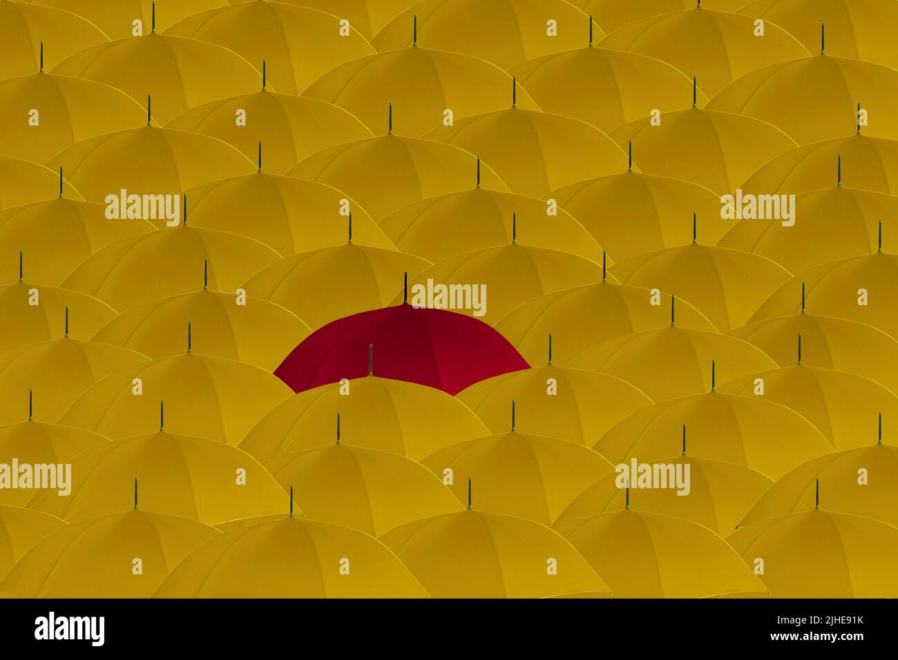 stand out from the crowd odd one out concept crowd of yellow umbrellas one red umbrella standing out Stock Photo