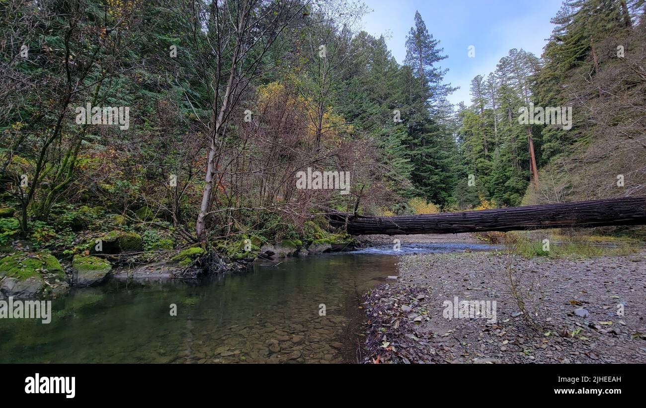 The Bull Creek flowing through the national park at the foot of the