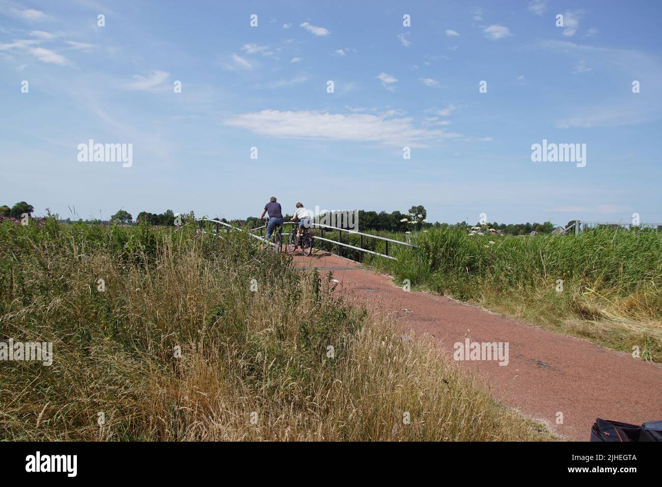 Pasturelandscape in North Holland. Bike path through the meadows with cyclists on a bridge over a canal to the village of Bergen. Summer, Netherlands, Stock Photo