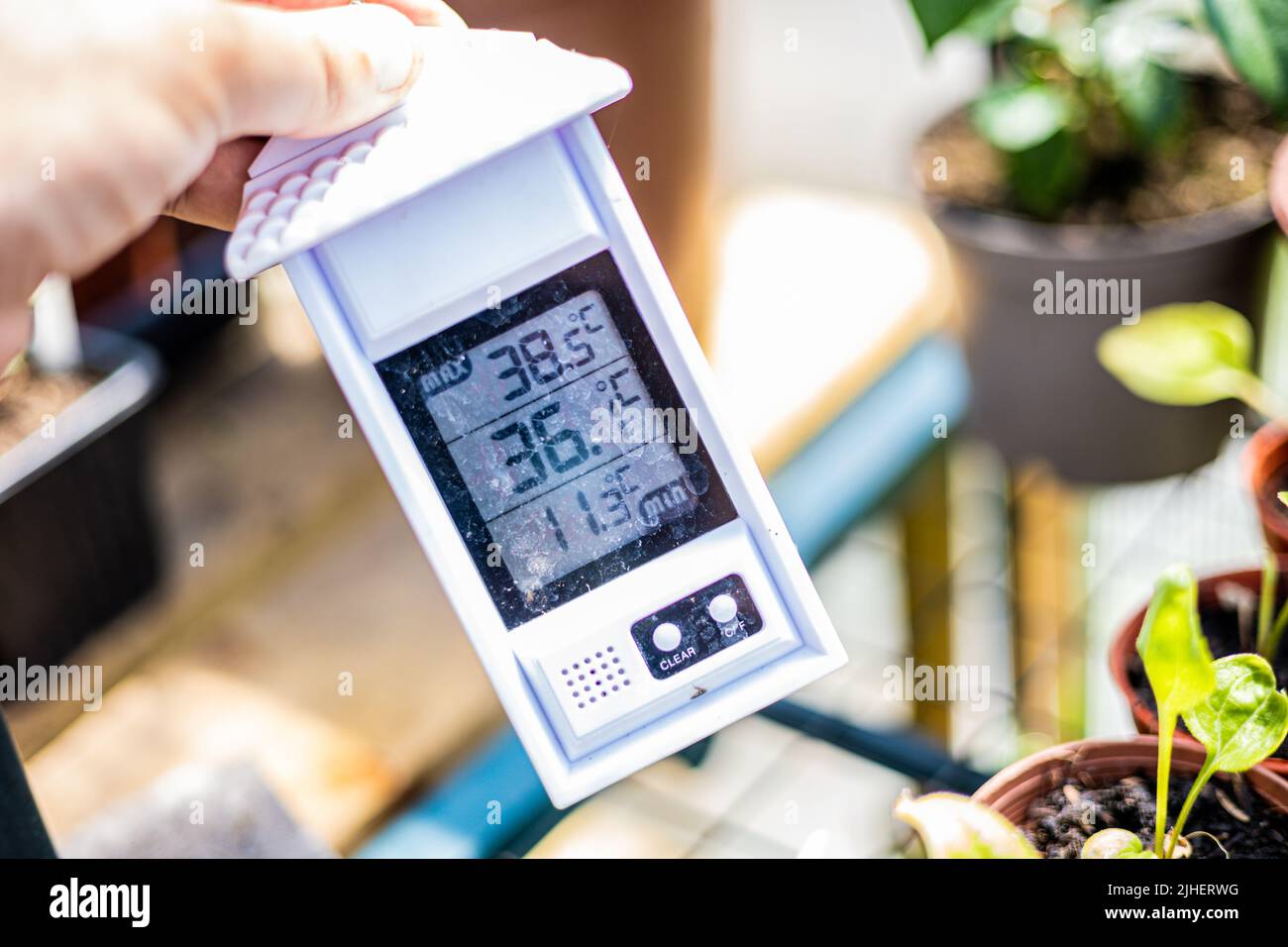 Thermometer, Thermostat showing the rising temperature in a greenhouse