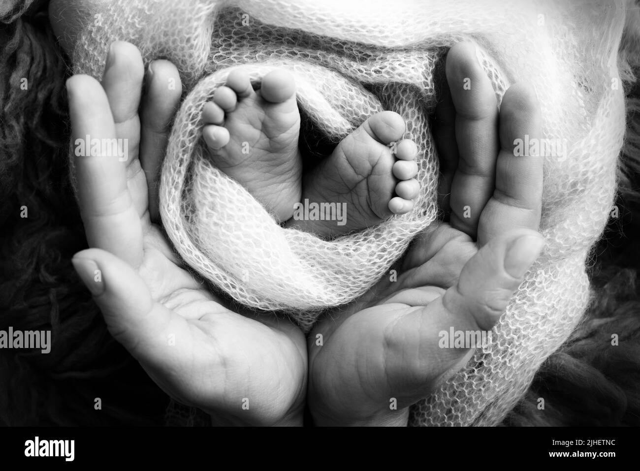 The palms of the parents. The feet of a newborn in the hands of parents. Photo of foot, heels and fingers.  Stock Photo