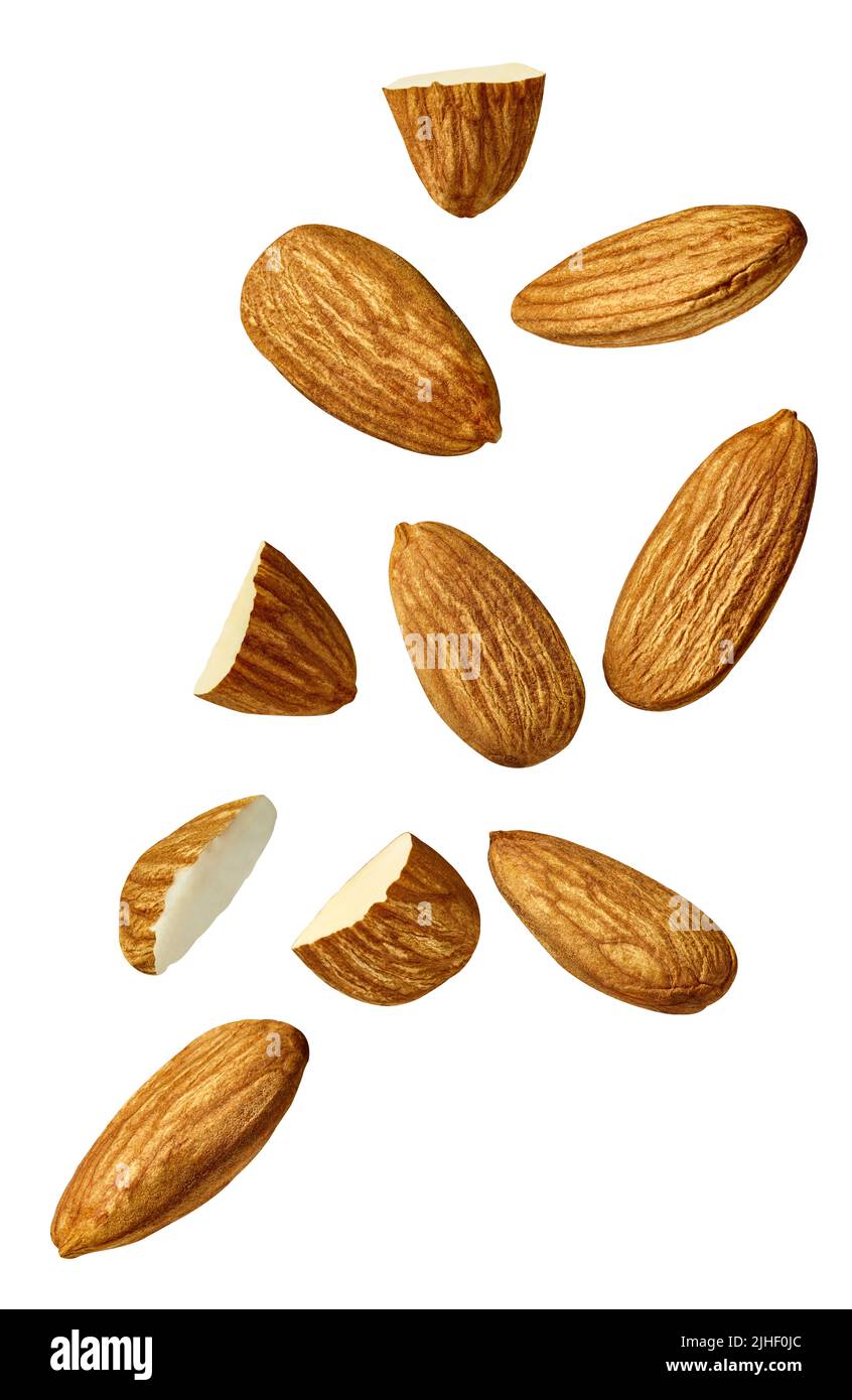 almond nut food healthy organic natural ingredient snack isolated seed