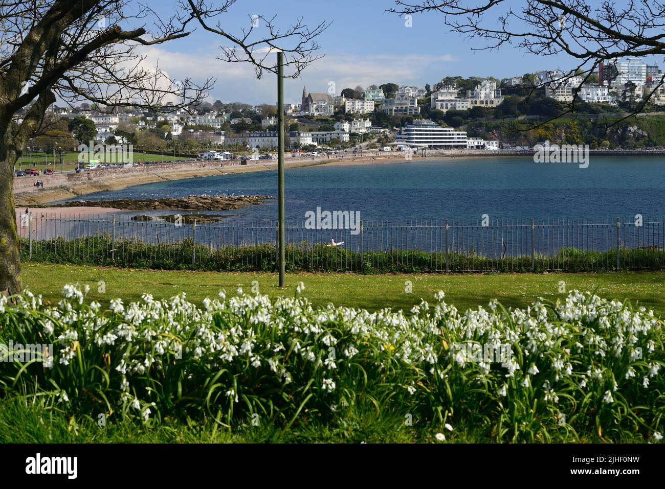 Spring wildflowers growing at Corbyn Head, Torquay, overlooking Abbey Sands. Stock Photo