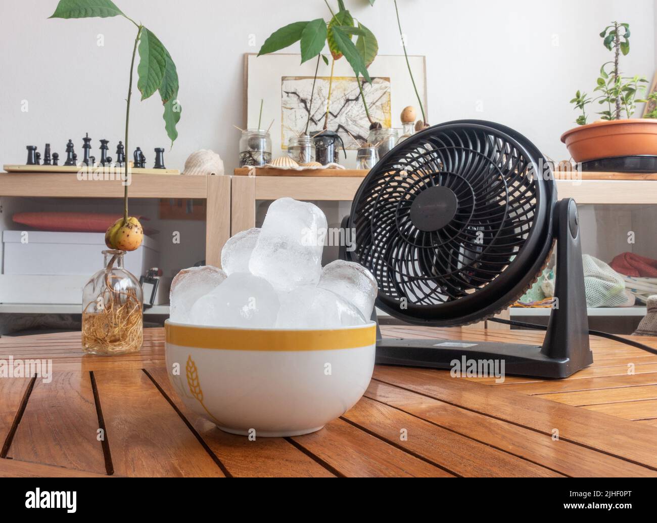 Bowl of ice in front of electric fan during heatwave. Stock Photo