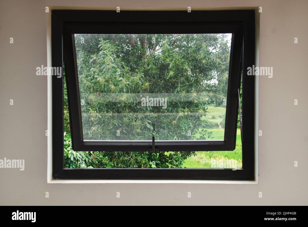 Window on a white wall with a view of greenery on the outside showing ...