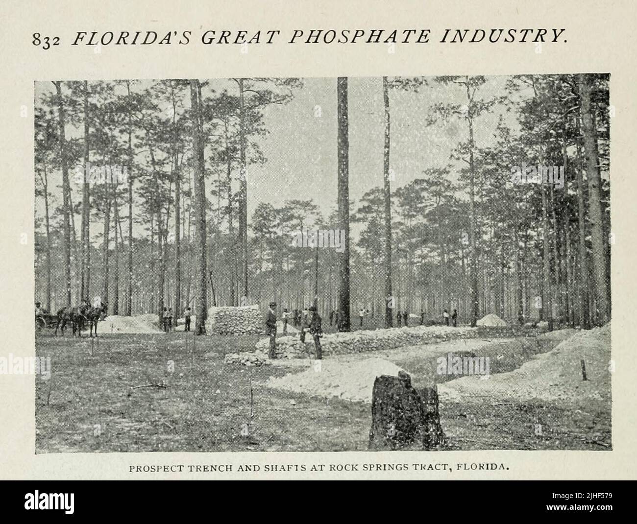 Prospector Trench and Shafts at Rock Springs Tract, Florida from an article ' FLORIDA'S GREAT PHOSPHATE INDUSTRY ' by Alfred Allen, M.A. from Factory and industrial management Magazine Volume 6 1894 Publisher New York [etc.] McGraw-Hill [etc.] Stock Photo