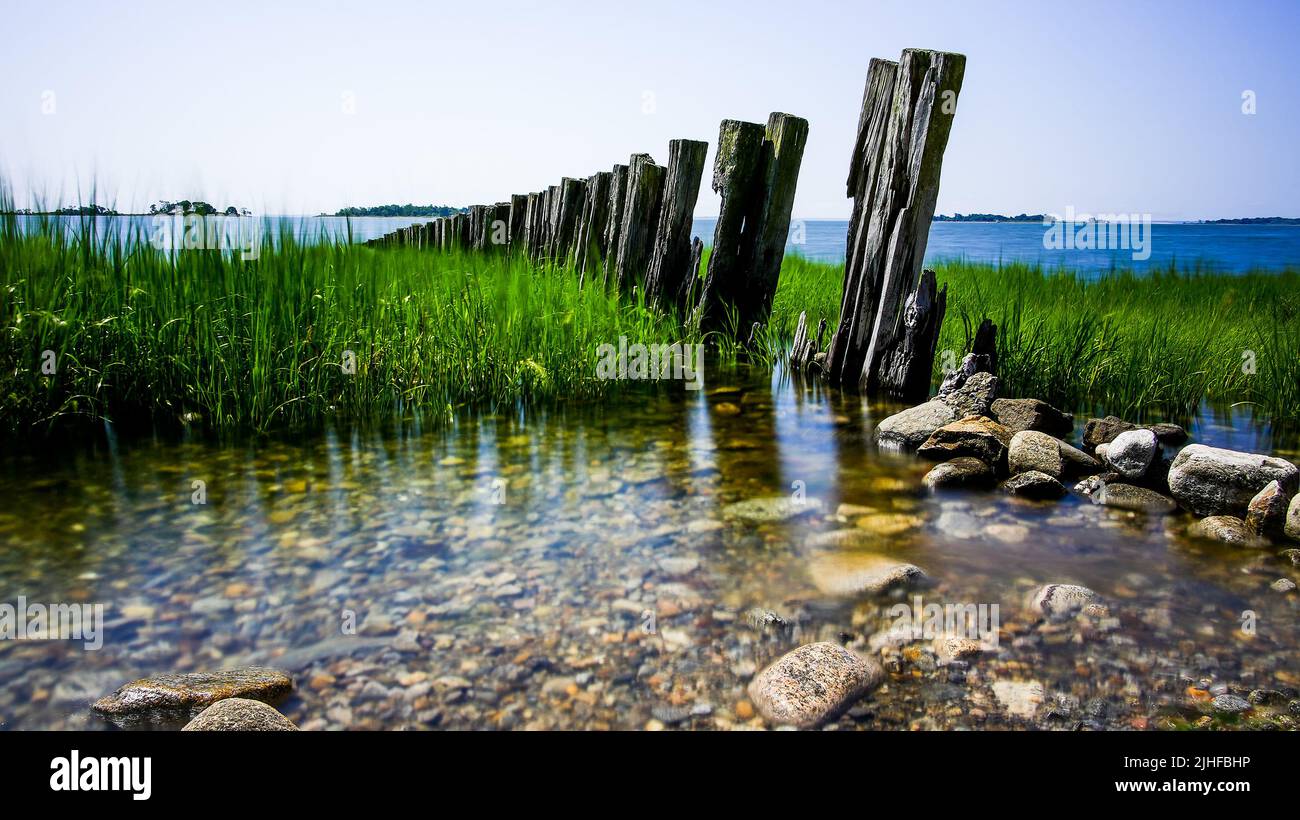 Weathered wood near water side with green grass in summer time photographed with ND filter Stock Photo