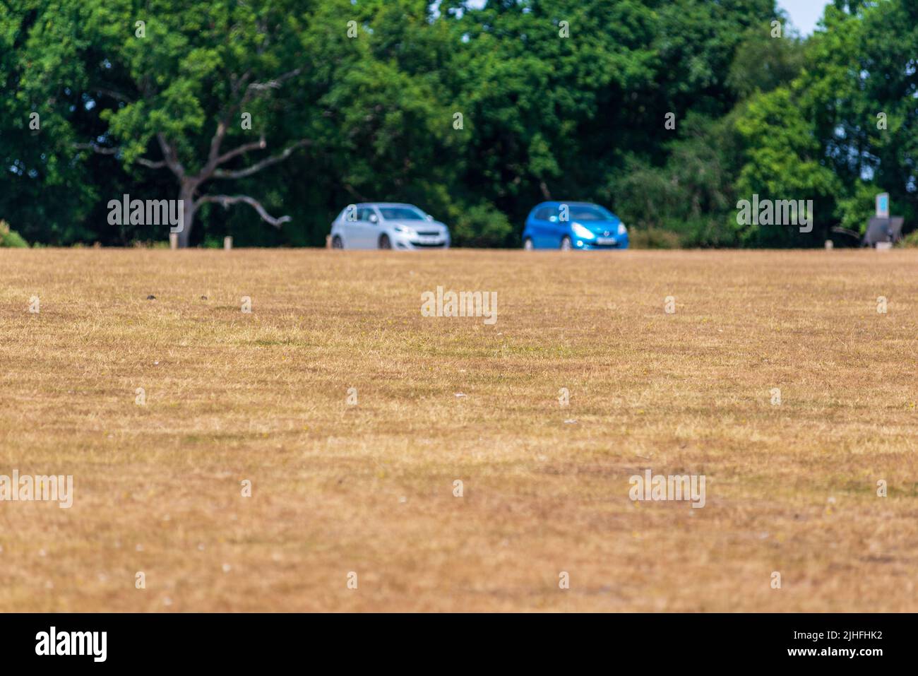 Godshill, Fordingbridge, New Forest, Hampshire, UK, 18th July 2022, Heatwaver: Temperature tops 30 degrees in the midday sun. The parched landscape is baking in the extreme hot and dry weather. Paul Biggins/Alamy Live News Stock Photo