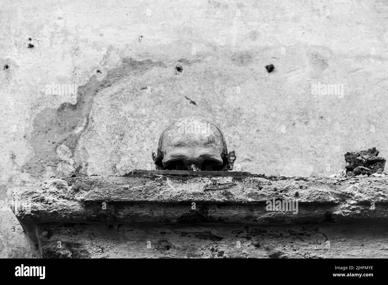 Black and white photo of half human skull on a ruined wall Stock Photo