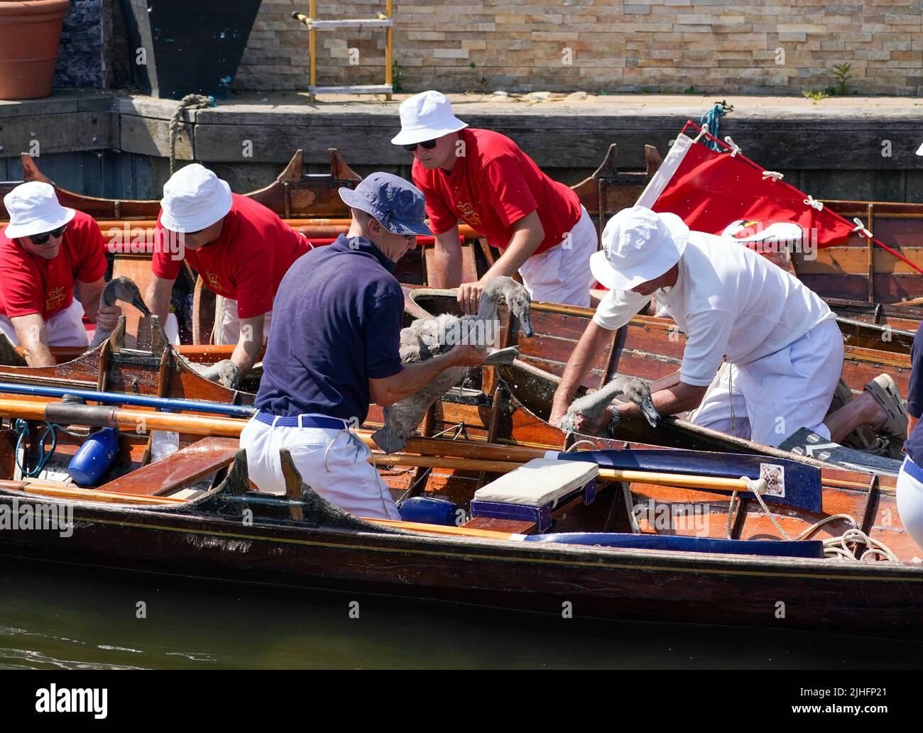Swan Uppers check over a near StainesuponThames in Surrey