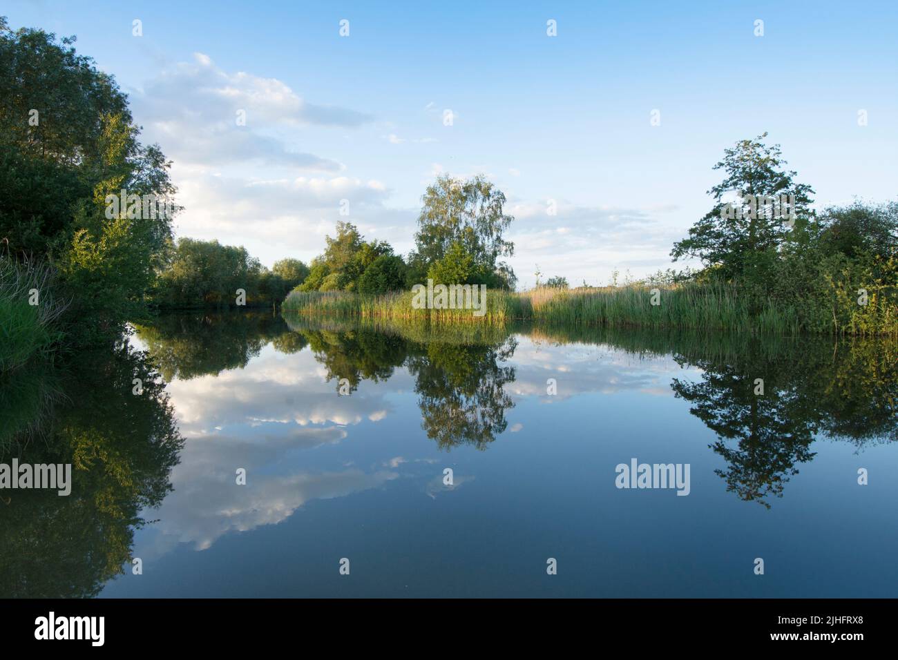 River Ant, Norfolk Broads, UK. June. Still water in early morning. Stock Photo
