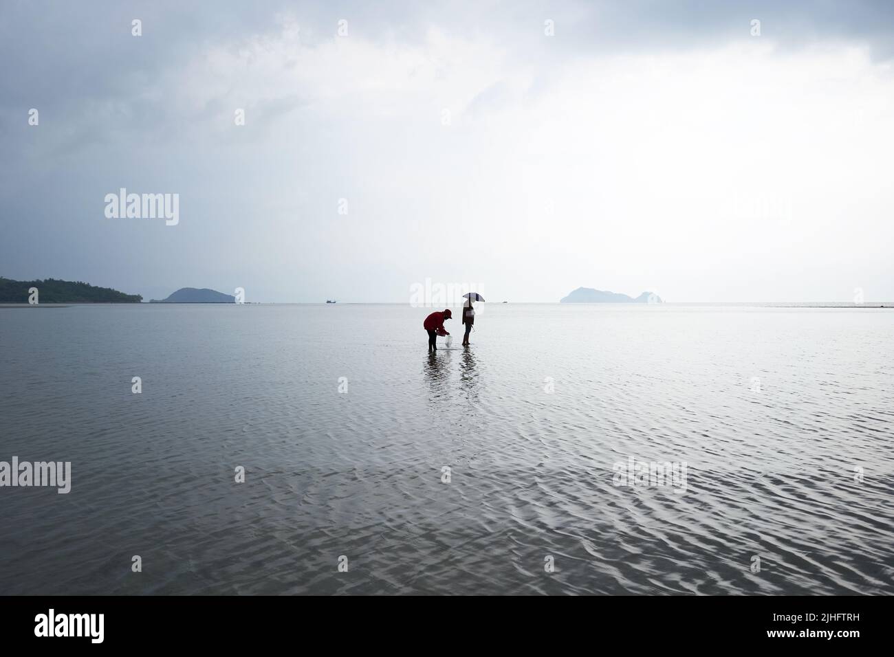Ko Phangan, Thailand, March 15, 2022: silhouette of women collecting clams Stock Photo