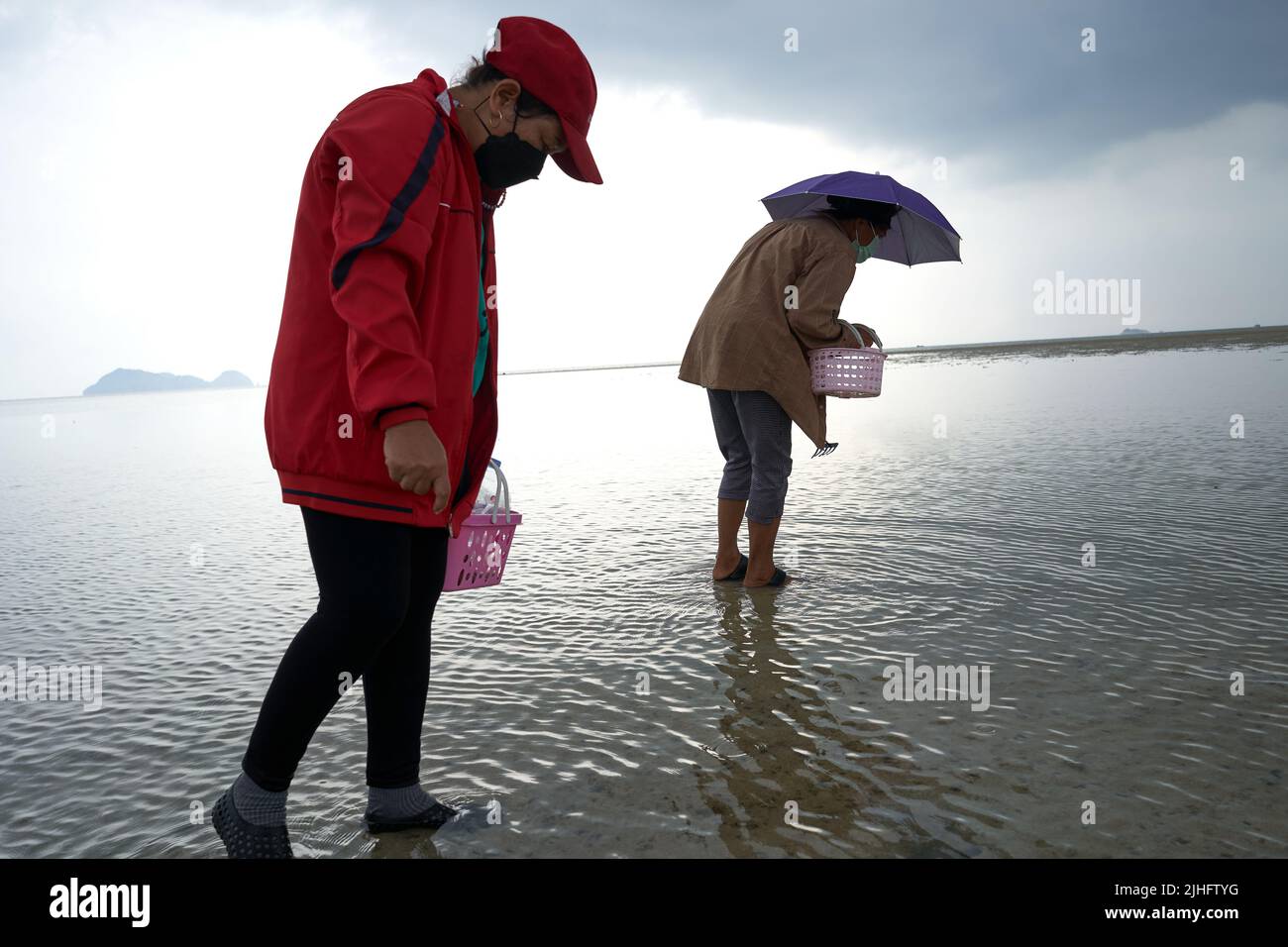 Ko Phangan, Thailand, March 15, 2022: two women collecting clams Stock Photo
