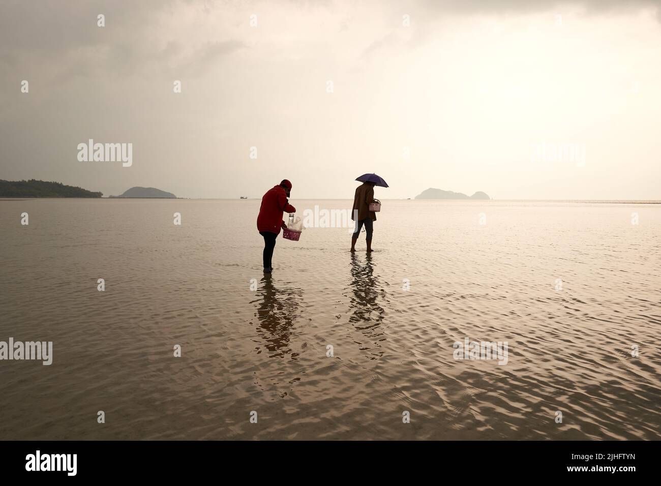 Ko Phangan, Thailand, March 15, 2022: silhouette of two women collecting clams Stock Photo