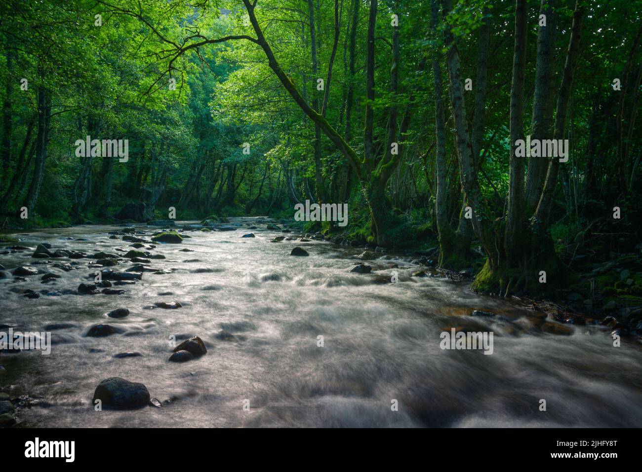 Mystical atmosphere when the first light of day illuminates the river and the surrounding forests in Ancares Cervantes Lugo Galicia Stock Photo