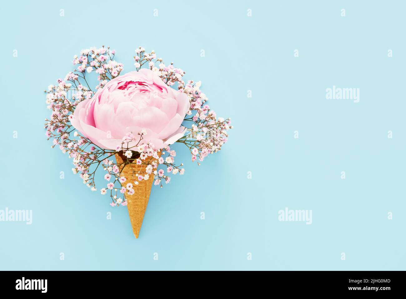 Pink peony and gypsophila in waffle ice cream cone on a blue background. Mothers Day, Valentines Day, bachelorette, summer concept. Copy space Stock Photo