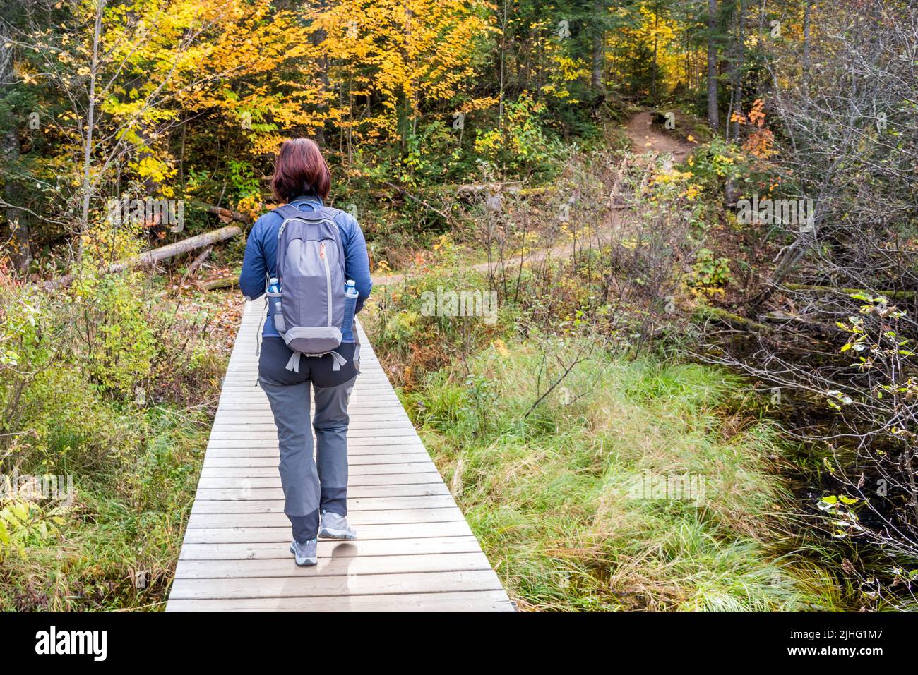 Loney woman hiker on a wooden walkway along a forest path in autumn Stock Photo