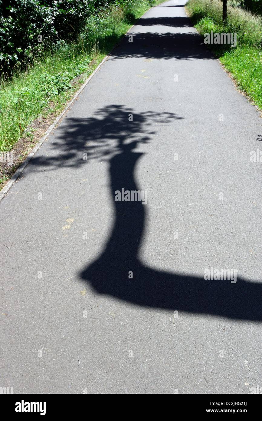 Strangely shaped shadow of tree, Sophia Gardens, Cardiff, Wales. Stock Photo