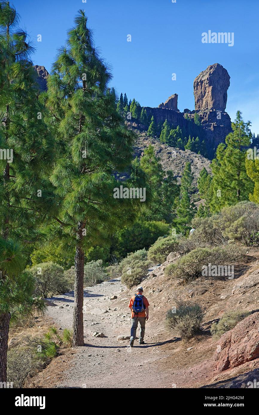 Hiker at the Roque Nublo, Tejeda, Grand Canary, Canary islands, Spain, Europe Stock Photo