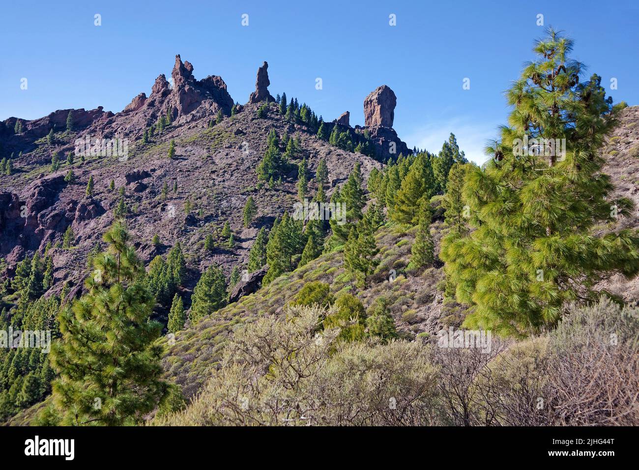 Landscape at Roque Nublo, Tejeda, Grand Canary, Canary islands, Spain, Europe Stock Photo